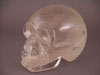 Medium Skull Sale