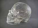 Large Crystal Skulls