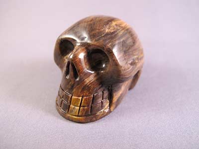 Petrified Wood Crystal Skull